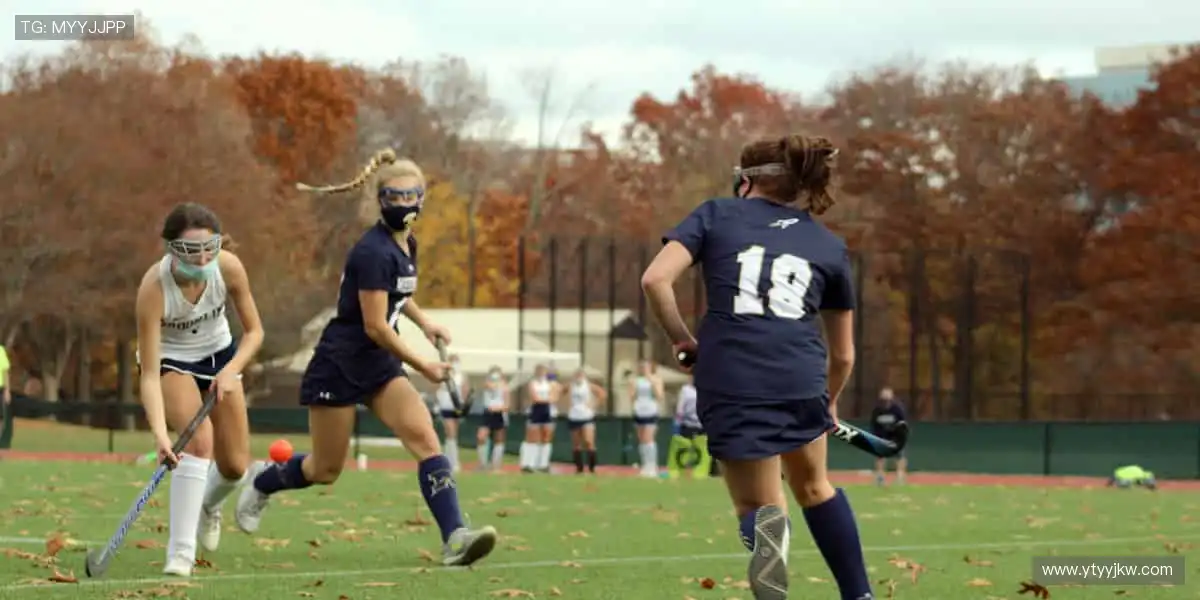 🎯 球星同款，即刻拥有！体育周边商城，解锁你的专属热爱！